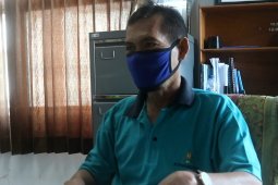 Kondisi pandemi COVID-19 tak pengaruhi produksi udang di Kabupaten Paser
