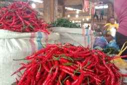Harga cabai merah naik jadi Rp30 ribu per kilogram