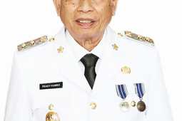 Wakil Bupati Tanah Bumbu salurkan bantuan dari Kementerian PPPA ke masyarakat