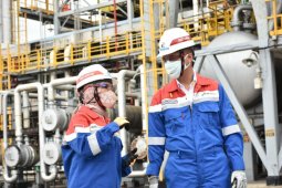 Pertamina siap produksi D-100