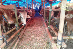 Pemkab Purwakarta melarang penjualan hewan kurban di trotoar jalan perkotaan