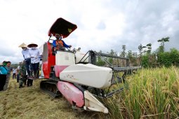 Banyuwangi surplus beras 126.831 ton per Juni 2020