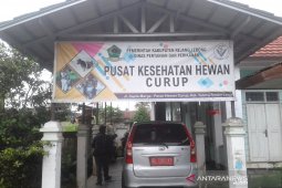 Rejang Lebong butuhkan tambahan 10.000 vaksin HPR