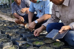 Disbun Kaltim targetkan retribusi sektor perkebunan sebesar Rp1,97 miliar