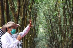 Dedi Mulyadi: Saluran air ke sawah rusak akibat terkena urugan tanah proyek kereta cepat