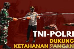 Panglima TNI-Kapolri bakal sambangi Kampung Tangguh COVID-19 di Kalsel