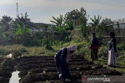 Kota Bogor kembangkan "pertanian perkotaan" di lahan kosong