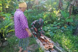 Anggota Satgas 1202/SKW bantu warga kupas Kelapa