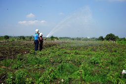 Wali Kota Risma siapkan program kedaulatan pangan hadapi pandemi COVID-19