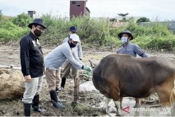 DPKH Kaltim siap sukseskan Program Sikomandan