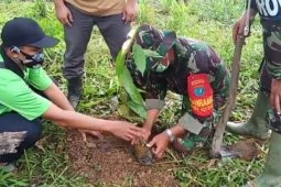 HUT ke-62 Kodam XII/Tpr, anggotaTMMD Tanam 1000 pohon