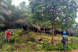 Satgas TMMD tebang pohon halangi kabel listrik
