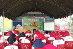 Petrokimia Gresik gelar promosi sehari di 16 sentra pertanian