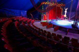 Chile secara bertahap akan perlonggar  'lockdown'