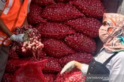 Harga bawang merah di Ambon turun
