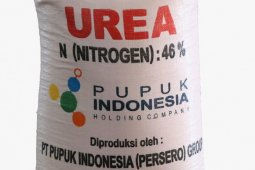 Pupuk Kaltim pastikan 31.216 ton stok pupuk urea siap untuk Bali