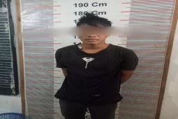 Curi sepeda motor milik ibu tiri, CH ditangkap Polisi Besitang