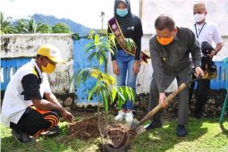 Pemprov Gorontalo dan PLN tanam pohon di kawasan penyangga TNBNW