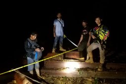 Tim gabungan amankan truk muatan kayu ilegal