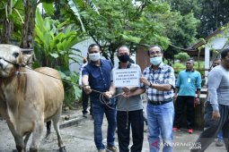 Pemkab Bangka terima bantuan satu ekor sapi kurban
