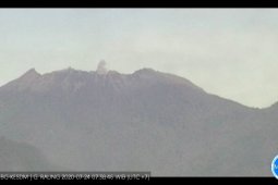 Aktivitas Gunung Raung masih fluktuatif dan berstatus waspada