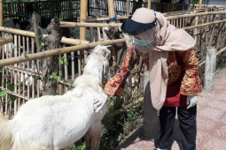Di Banyuwangi, distribusi daging kurban diantar langsung ke rumah penerima