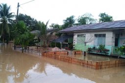 100 unit rumah warga di Aceh Timur dikepung banjir