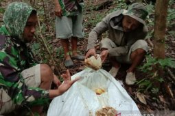 Petani madu hutan banjir pesanan di masa pandemi