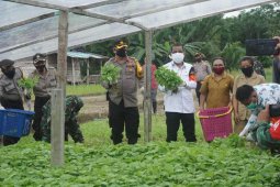 Dua desa di Ambon dicanangkan sebagai Kampung Tangguh Nusantara