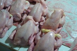 Harga daging ayam jelang Idul Adha 1441 Hijriah di Ternate melonjak