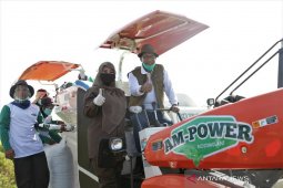 Bupati Irna dan Dirut Bulog panen raya di Cikeusik