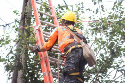 PLN Jabar siagakan 3.017 personel terkait Idul Adha 1441 H