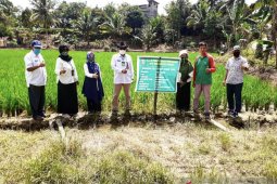 DPTPH Kaltim sosialisasi program Kostratani
