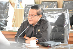 Pekebun sawit Kalsel diharapkan manfaatkan jatah "replanting"