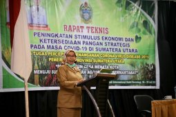 Berdaya hadapi COVID-19, Sekda Sumut tekankan perkuat ketahanan pangan