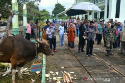 Bupati Malra: Idul Adha 1441  Hijiriah ajarkan kesabaran bagi umat Islam