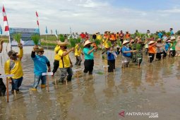 KNPI peringati HUT dengan turun ke sawah