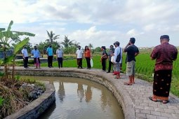 Di Denpasar, dinas perikanan tebar puluan ribu benih ikan nila
