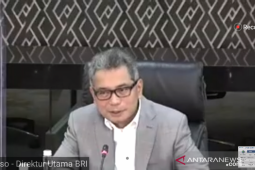 BRI  salurkan dana pemerintah Rp24,94 triliun ke UMKM