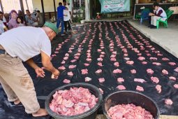 Turki distribusi ratusan ekor sapi untuk warga Aceh