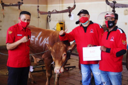PDIP Surabaya distribusikan daging kurban dari rumah ke rumah