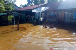 Ratusan warga di Aceh Barat masih terdampak banjir setinggi satu meter