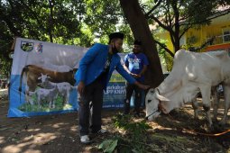 DPP KNPI: Idul Adha momentum bagi pemuda buktikan kepekaan sosial