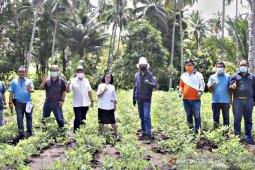 Wali Kota Bitung: Dorong penguatan lumbung pangan berbasis keluarga