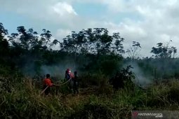 Upaya pencegahan karhutla di masa pandemi COVID-19