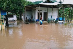 BPBD: Penanganan darurat korban banjir di Banggai  sudah dilakukan