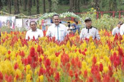 Wisata "Taman Jomblo" di Pringsewu