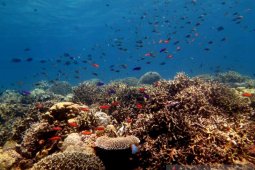 Pemprov Gorontalo usulkan sejumlah kawasan menjadi geopark nasional