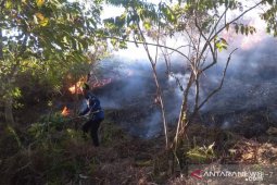 Empat hektare lahan gambut hangus terbakar di Aceh Selatan
