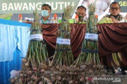 Komoditas bawang putih Napu-Sulteng  menjadi harapan baru Indonesia